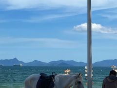 -玫瑰海岸文化旅游度假区
