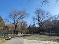 -元大都城垣遗址公园