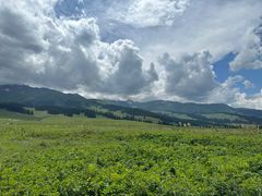 -新疆那拉提国家旅游度假区