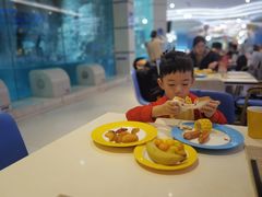 -帝企鹅自助餐厅•儿童岛•真企鹅(长隆企鹅酒店)