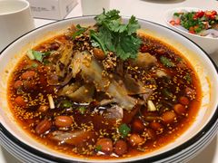 -院8里·少城记忆老川菜(宽窄巷子店)