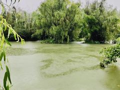 -贵阳市花溪国家城市湿地公园