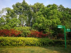 -昆山城市生态森林公园