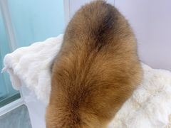 -爱洗澡的猫(望京店)
