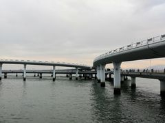 -演武大桥观景平台