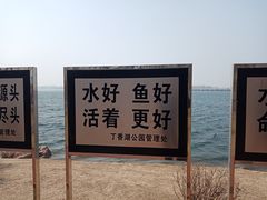 -丁香湖公园