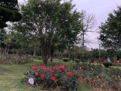 -南宁南湖公园