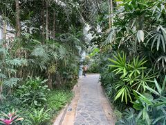 -郑州植物园