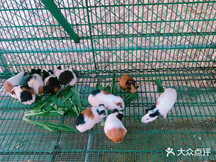 三亚亚龙湾天域度假酒店图片