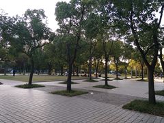 -新江湾城公园