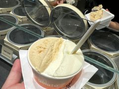 -Dip in Gelato(富民路店)