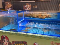-海底捞火锅(长宁路龙之梦店)