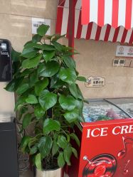 -南京康美美容医院·旗舰店