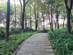 -重庆彩云湖湿地公园