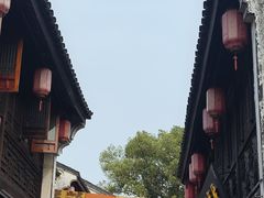 -鲁镇
