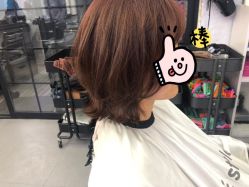 点击看大图 -SALON V