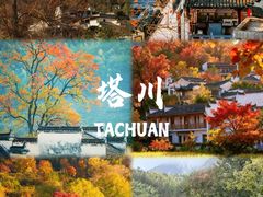 -塔川景区