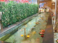 -东方山水金沙酒店-雅香阁中餐厅