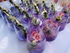 -新蝶变皮肤管理中心