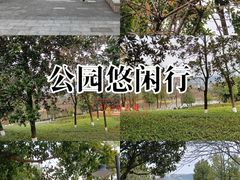 -沐仙湖湿地公园