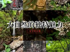 -雁荡山雁湖景区