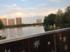 -南翔镇银翔湖公园