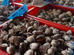 -有间冰室(侨港风情街店)