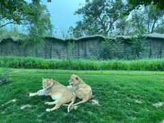 -北京野生动物园