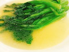白灼芥兰菜-新南华大酒店(广中店)