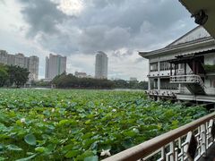-荔湾湖公园