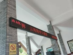 -蝶舞清江·恩施云顶景区(黄鹤峰林)