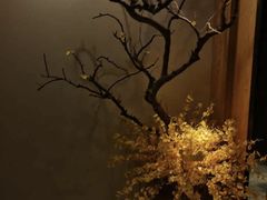 -大桶大足浴(南翔店)