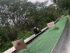 -富斯特索道