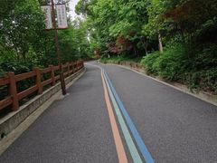 -杭州半山国家森林公园