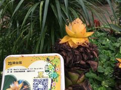 -东部华侨城