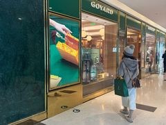 -Goyard 高雅德(国贸商城店)
