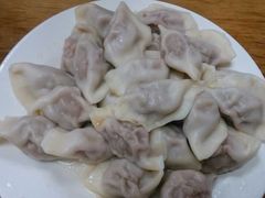 -白记饺子馆多伦道店