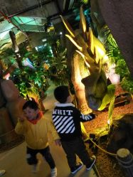 点击看大图 -恐龙探索乐园(磁器口店)