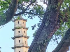-江心屿景区