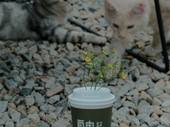 -自由生长植物工作室(深港花卉中心店)