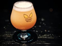 -蜜和麦精酿啤酒吧honey&malt(桐梓林店)