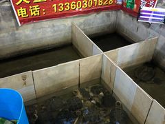 -龟场私房菜