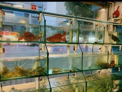 -凯华海鲜火锅·传承三十六年