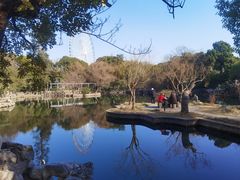 -无锡蠡湖国家湿地公园-蠡园