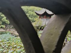 -忠山公园