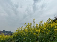 -石潭村
