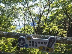 -少华山国家森林公园