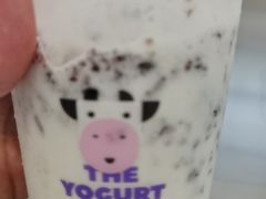 -一只酸奶牛(曲江龙湖星悦荟店)