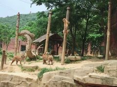 -无锡动物园·太湖欢乐园