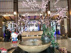 -航空小镇温泉